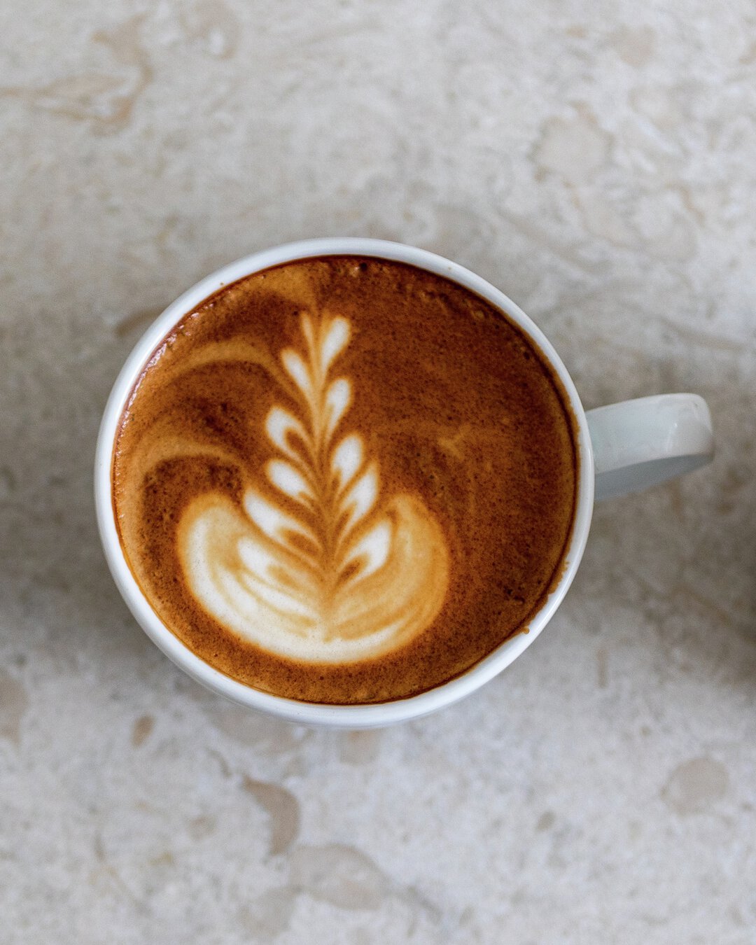 Cappuccino | Löfbergs